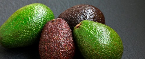 Fresh Premium Avocado